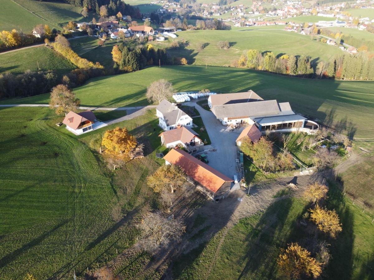 Ferienhaus Reisinger Promschhof Semriach Екстериор снимка