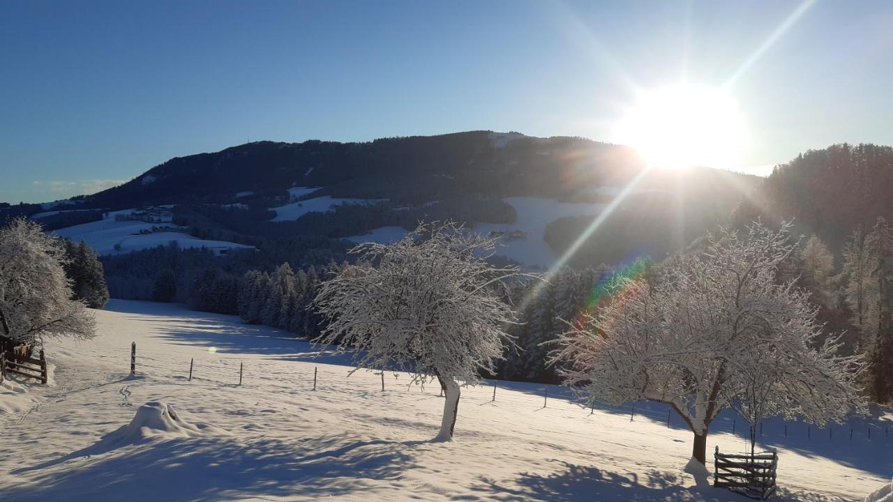 Ferienhaus Reisinger Promschhof Semriach Екстериор снимка