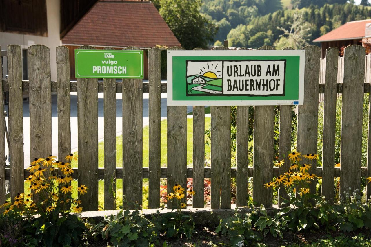 Ferienhaus Reisinger Promschhof Semriach Екстериор снимка